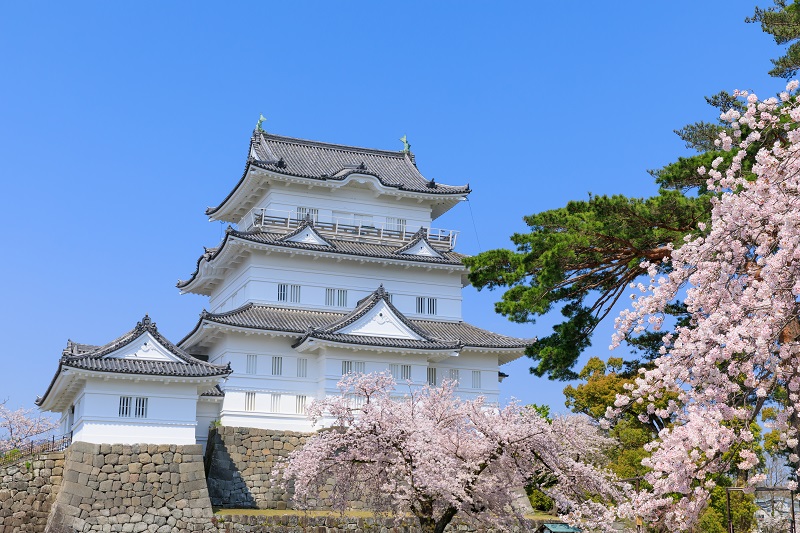 小田原城「復興天守」